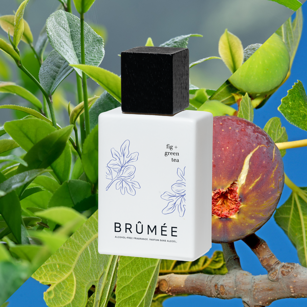 Fragrance shop free perfume
