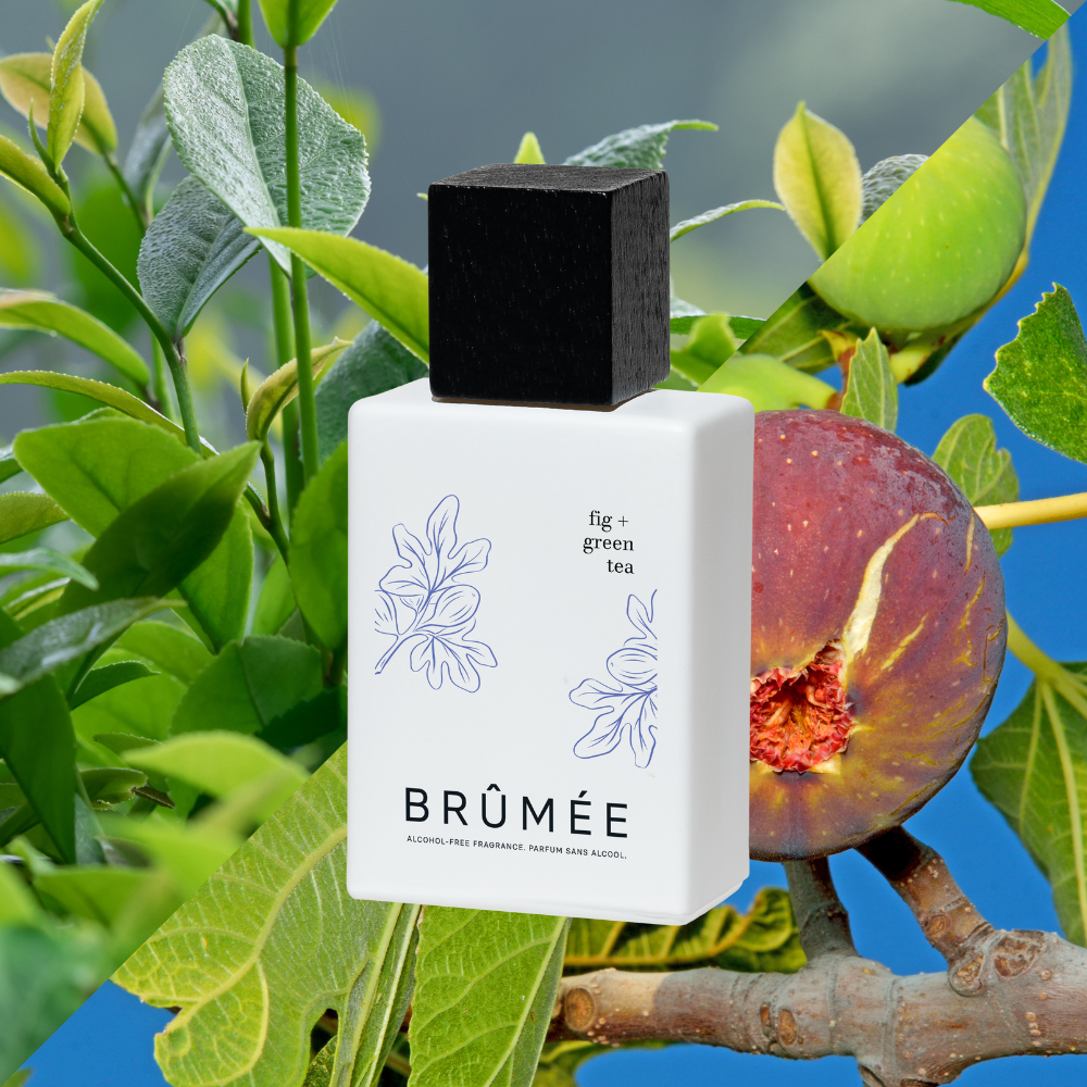 bue historie grill Fig + Green Tea | Alcohol Free Fragrance | Brûmée