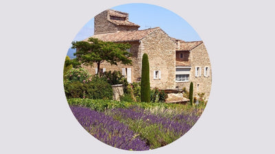 The Story of Grasse, Provence & Perfumery