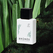 Pine Tree + Vetiver Alcohol-free Fine Fragrance | Brûmée – Kind to Skin Fragrance